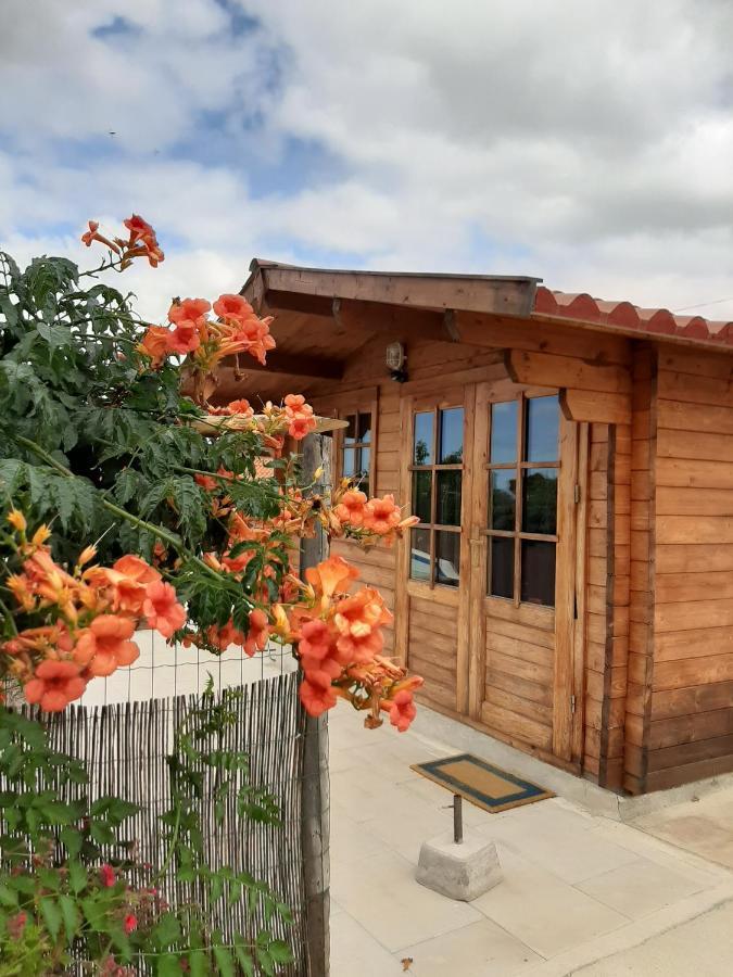 Hotel Quinta Do Pinheiro Grândola Esterno foto
